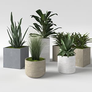 Savi Planter