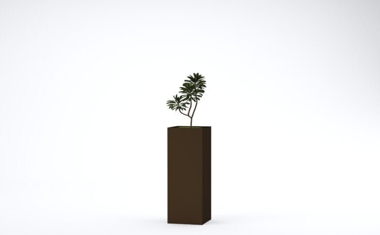 Euphorbia Trigona Plant