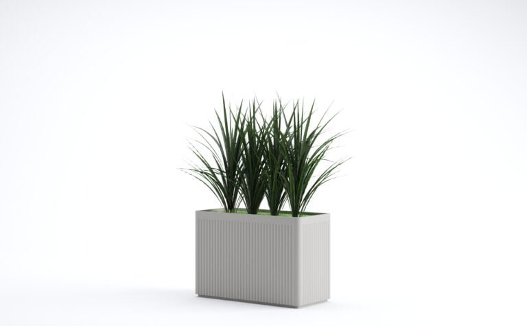 Wide Leaf Grass Bush