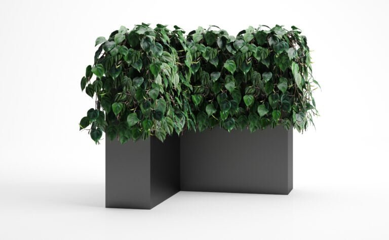 Philodendron Leaf Bush